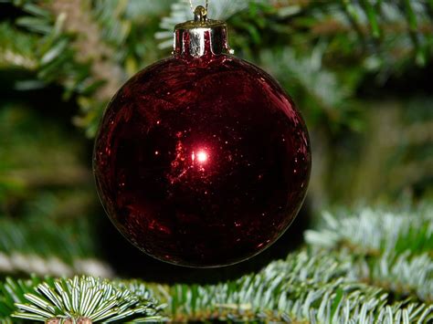 Free photo: Glass Ball, Christmas - Free Image on Pixabay - 5502