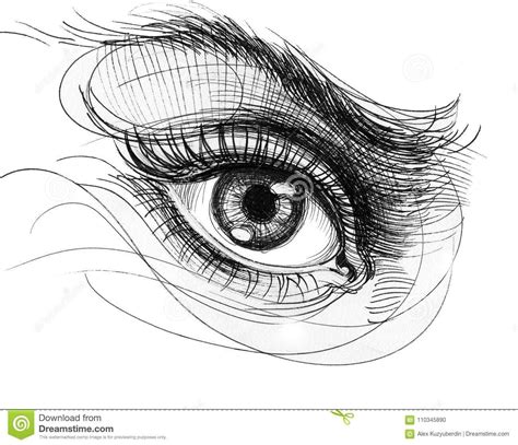 dreamstime.com | Human eye drawing, Eye drawing, Drawings