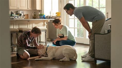 Dog Gone Cast: Where You've Seen The Stars Of Netflix's New Dog Movie ...