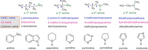 Amine Reactivity