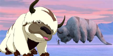 Avatar: Why Appa Has Six Legs In Last Airbender