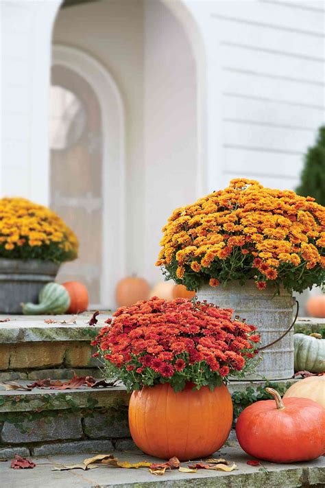 27 Fall Flowers for a Gorgeous Autumn Garden