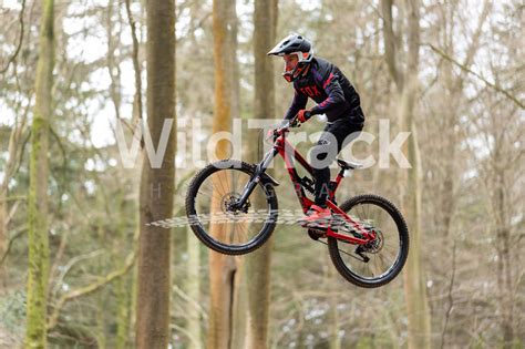 Rogate Bike Park 11/3/23 - WildTrack Photography