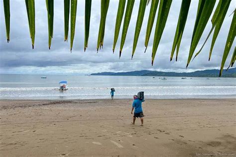 Essential Guide to Drake Bay Costa Rica: Things to Do & Where to Stay ...