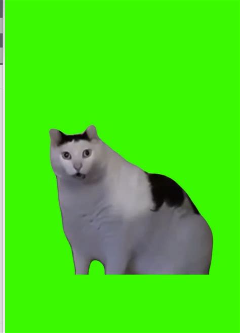 huh cat green screen meme - Original Meme Video huh cat green screen ...