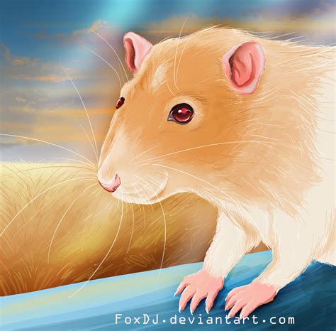 Comm: ginger rat by FoxDJ on DeviantArt