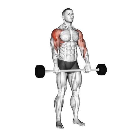 Cable Rear Delt Row: Benefits, Muscles Worked, and More - Inspire US