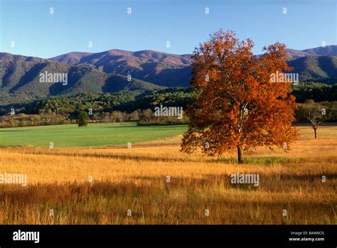 Fall Colors in Cades Cove - Smoky Mountain National Park Stock Photo ...