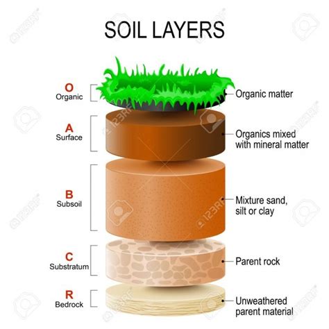 Layers Of Soil Diagram