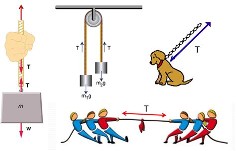 Quia - Matching Forces with Pictures