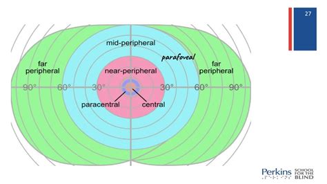 PPT - Vision After Occipital Lobectomy and Related Surgeries PowerPoint ...