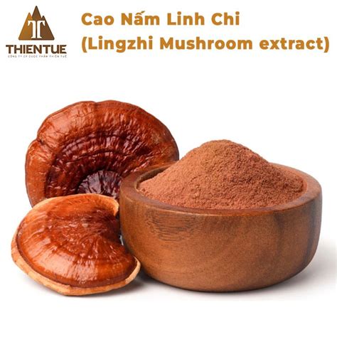 Cao Nấm Linh Chi (Lingzhi Mushroom extract) - Thiên Tuế