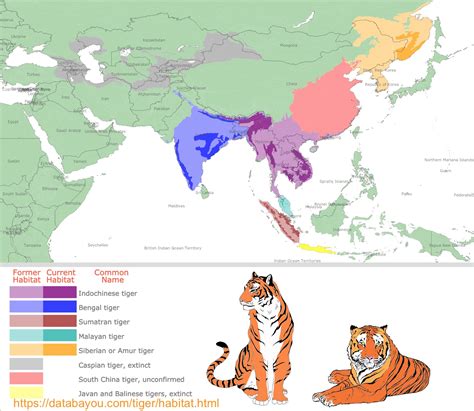 Bengal Tiger Distribution Map - Infoupdate.org