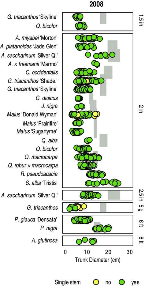 DBH of tree species in the 2008 cohort. Species are grouped by stock ...