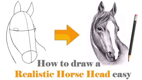 How To Sketch A Horse Head Step By Step at Drawing Tutorials