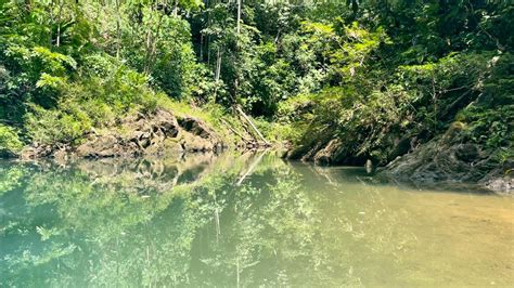 Floating in Rio Claro: The Ultimate River Relaxation in Drake ...