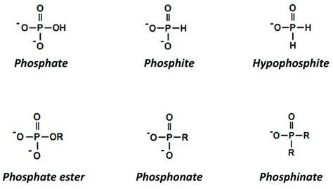 Structural differences between phosphate ester and... | Download ...