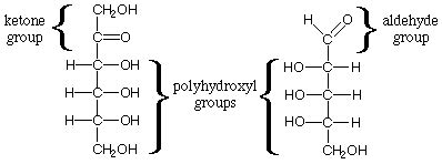 Monosaccharides Disaccharides Polysaccharides