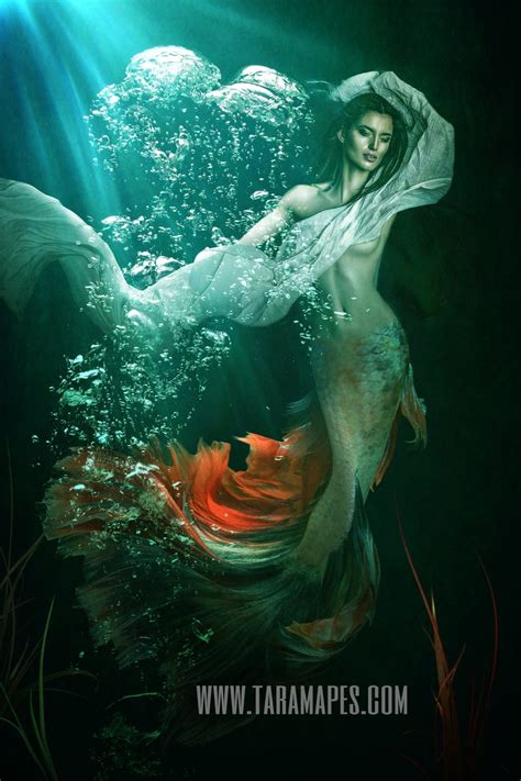 Mermaid Ocean Scene Underwater Digital Background Layered | Etsy