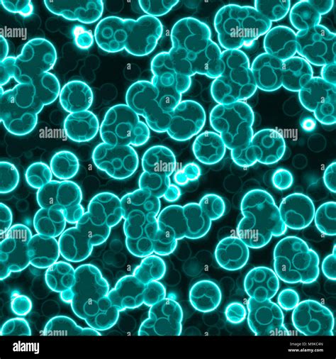 Multicellular organism hi-res stock photography and images - Alamy