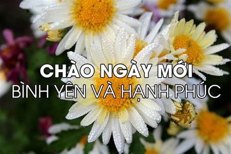 Những hình ảnh chúc buổi sáng đẹp và ý nghĩa nhất