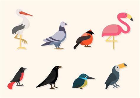 Flat Bird Vectors 147401 Vector Art at Vecteezy