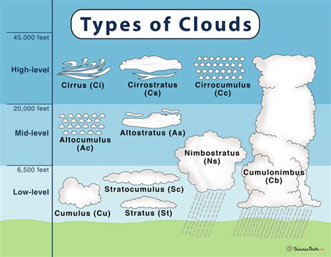 Types of Clouds: Their Formation & Meaning Explained with Diagram