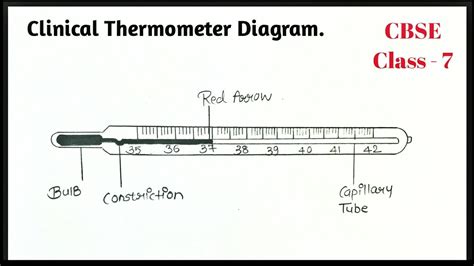 Laboratory Thermometer Labelled Diagram