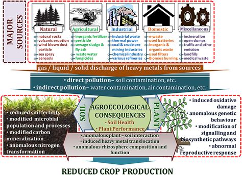 💐 Sources of soil contamination. What is an example of source ...