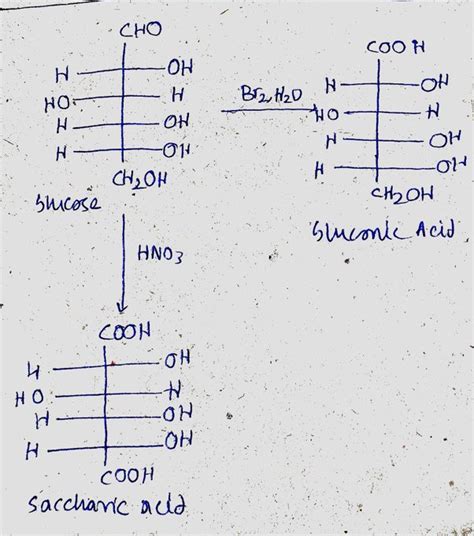 What is the reaction of glucose-oxidation? - ECHEMI