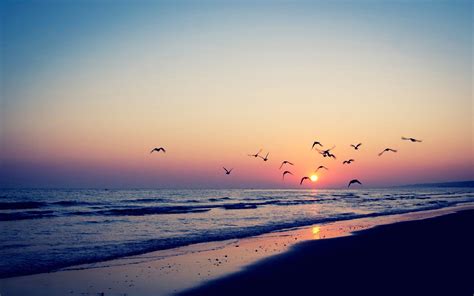 Pastel Beach Sunset Desktop Wallpapers - Top Free Pastel Beach Sunset ...