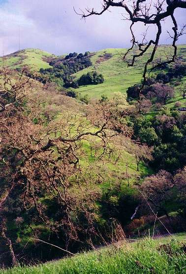 New Views - Rainbows and Waterfalls - Santa Teresa County Park