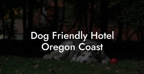 Dog Friendly Hotel Oregon Coast - Dog Hotels