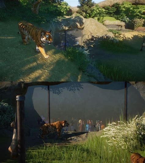 Planet Zoo Bengal Tiger Habitat | summarycatbest