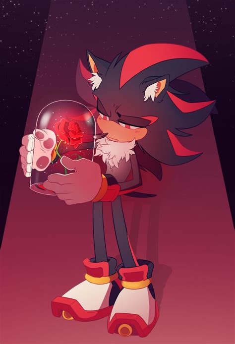 Sonic And Shadow The Hedgehog Fan Art