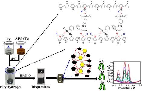 [PDF] Conductive Hydrogel-Based Electrochemical Sensor: A Soft Platform ...