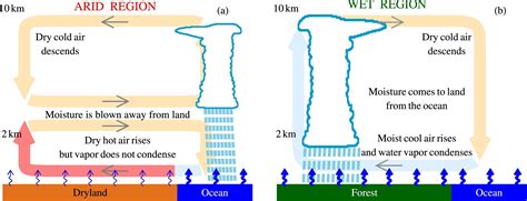 Research finds that forest safety is essential for dependable rainfall ...