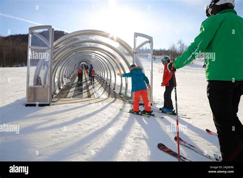 Skiers on a covered magic carpet on the learner's slope aka Bunny slope ...