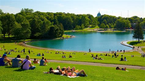 Mount Royal Park in Montreal, Quebec | Expedia.ca