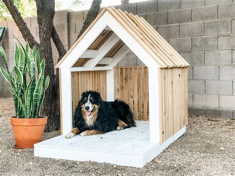 DIY Modern Dog House for Oscar! — the Awesome Orange