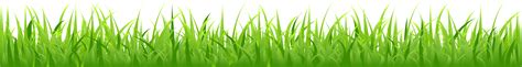 Daffodil clipart grass, Daffodil grass Transparent FREE for download on ...