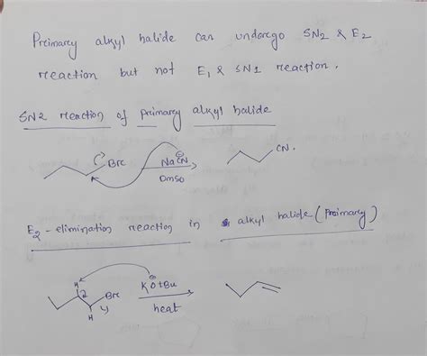 [Solved] 1. Can primary alkyl halides undergo SN2, SN1, E2, and E1 ...