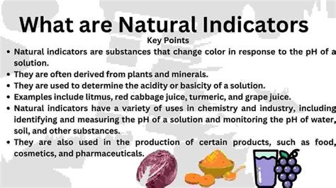 Natural Indicators-Examples, Working And Uses