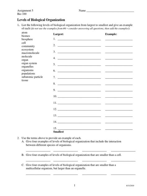 Levels Of Biological Organization Worksheet – Englishworksheet.my.id