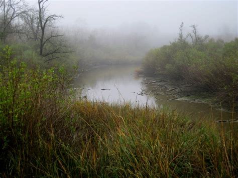 Baytown Nature Center Hike 12-18-2008 - Baytown, Texas