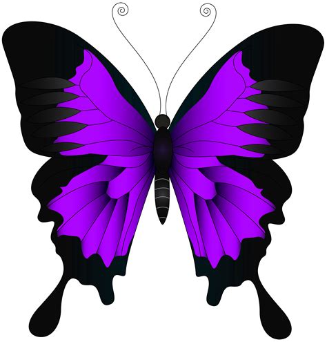 Clipart butterfly violet, Picture #2392411 clipart butterfly violet