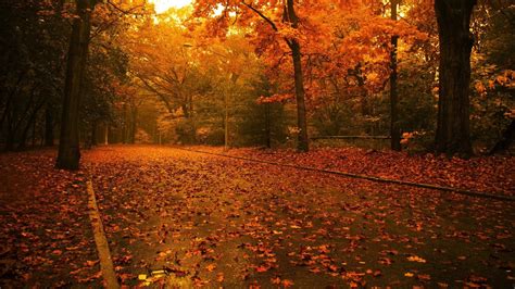 Autumn Raining Wallpapers - Wallpaper Cave