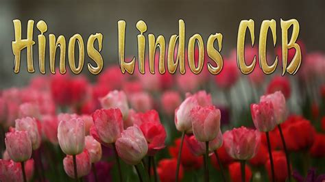 Hinos CCB Cantados ️ Belos Hinos CCB Hinário 5 Cantados ️ Congregação ...