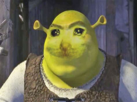 Shrek Eyes Meme