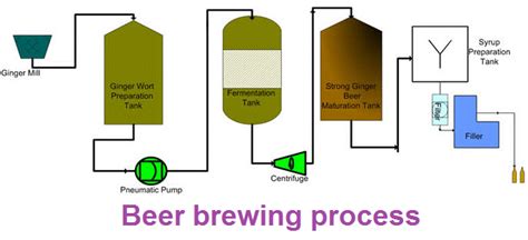 Beer brewing process - Microbiology Notes